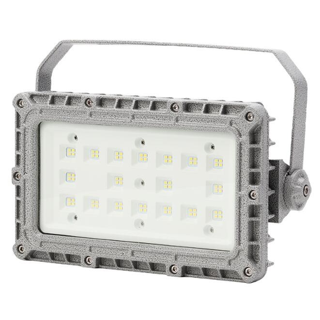 BAD 85-265V 10-600W Explosion-Proof LED Floodlight For Factory High Power Projection Lamp